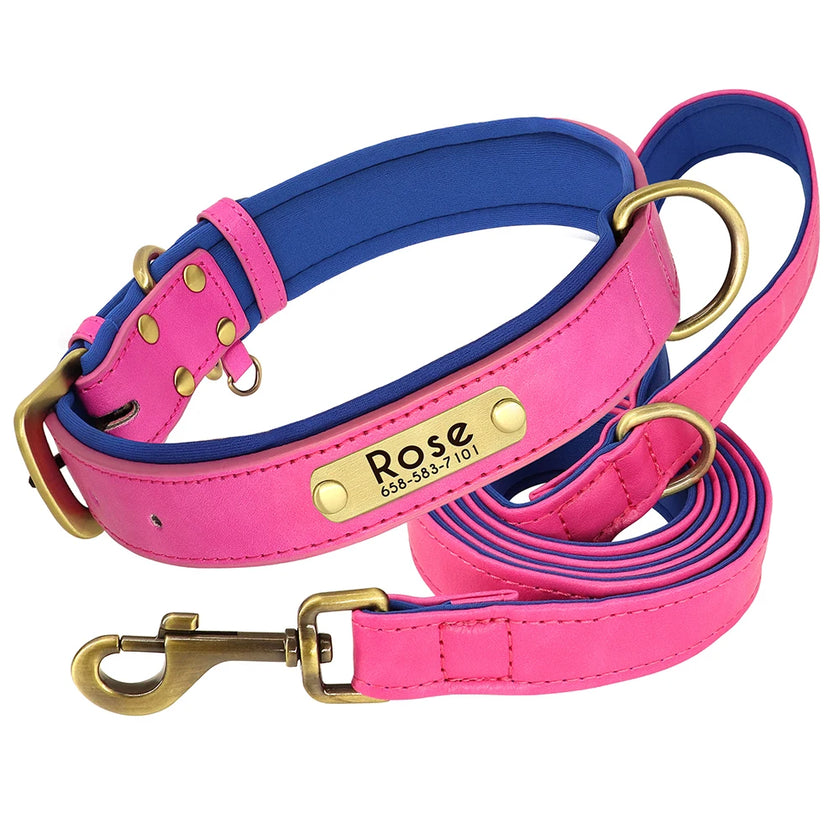 Hundhalsband & koppel