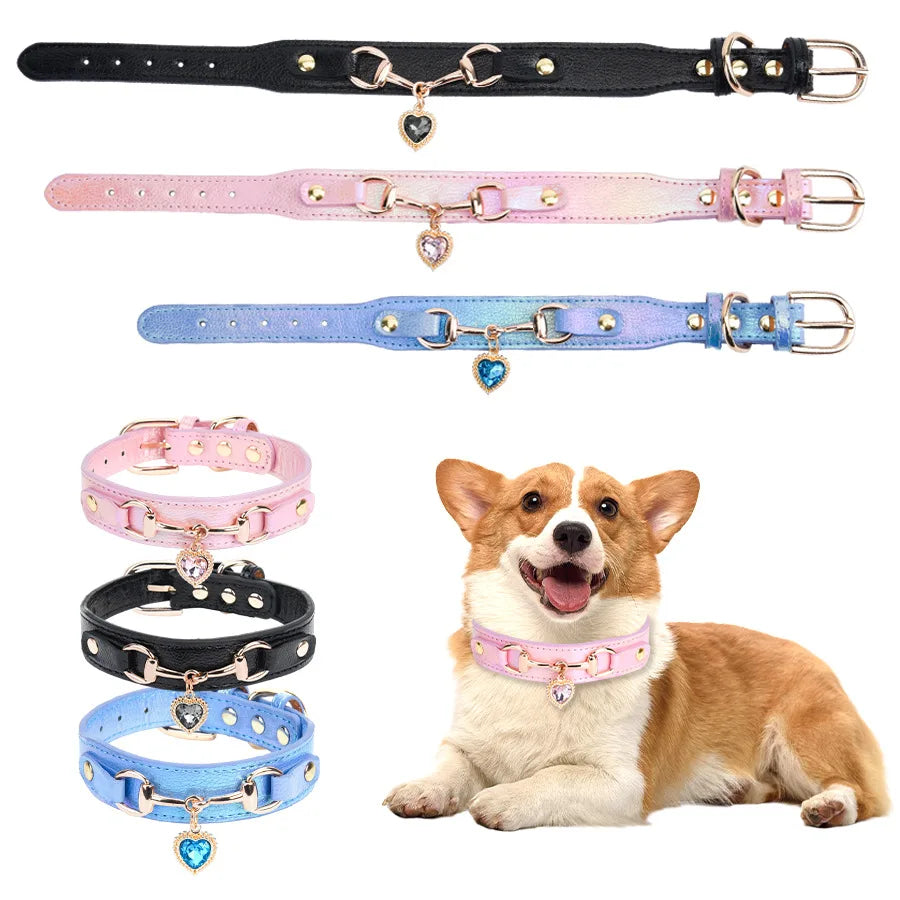Hundhalsband med smycke