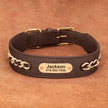 Hundhalsband med kedja