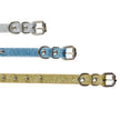 Glittrigt hundhalsband med nitar