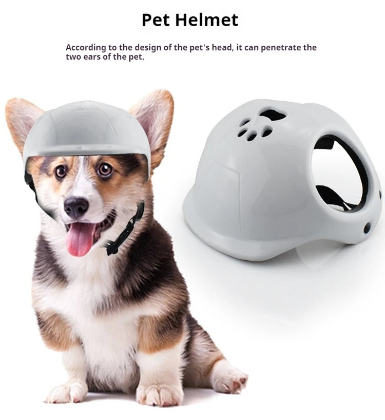 Hjälm för liten hund