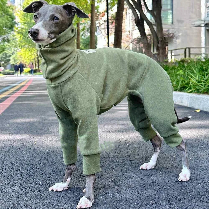 Overall Onesie med hög krage för hund