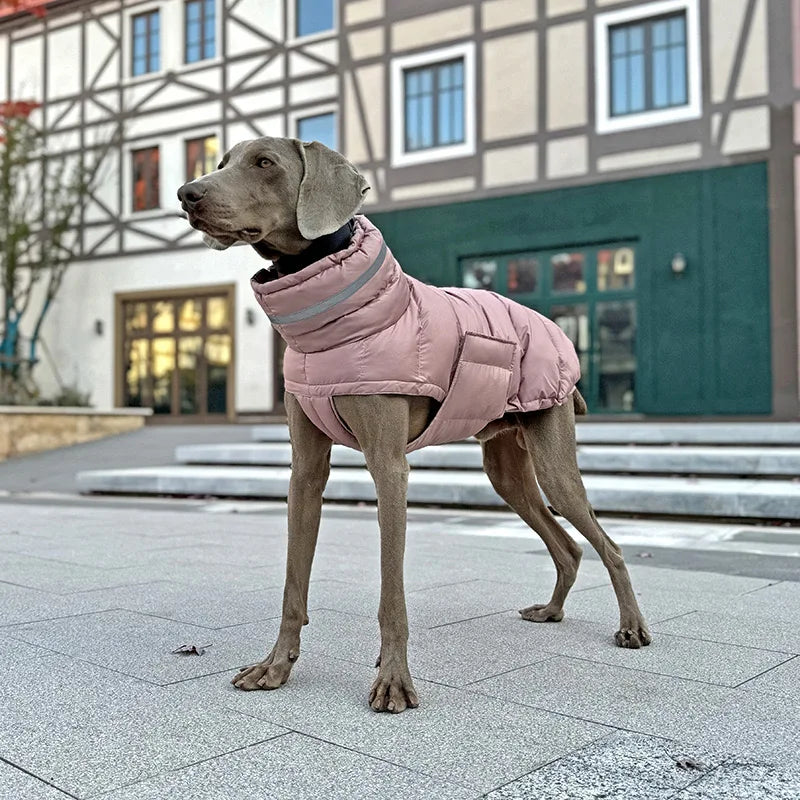 Hundjacka