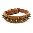 Hundhalsband med nitar