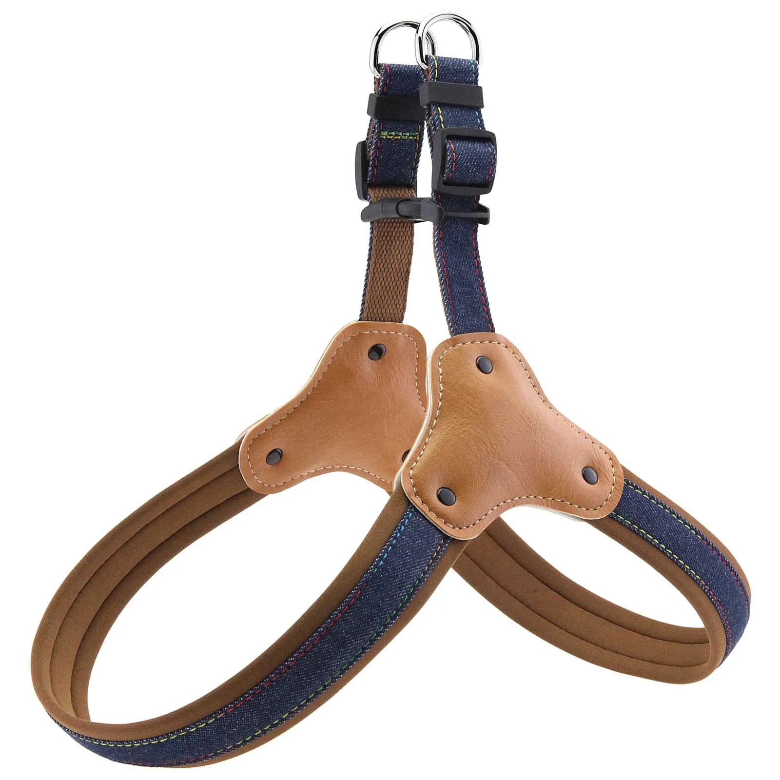 Hundsele i jeanstyg & koppel