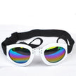 Goggles för hund