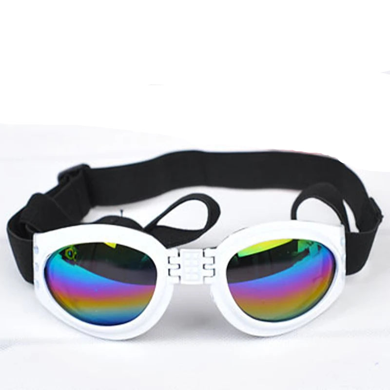 Goggles för hund
