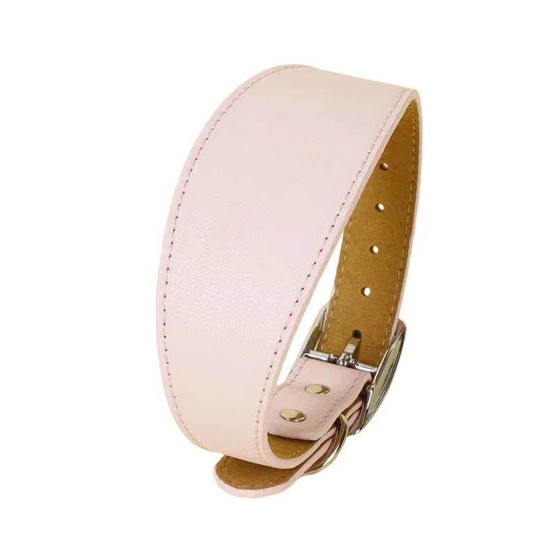 Brett hundhalsband