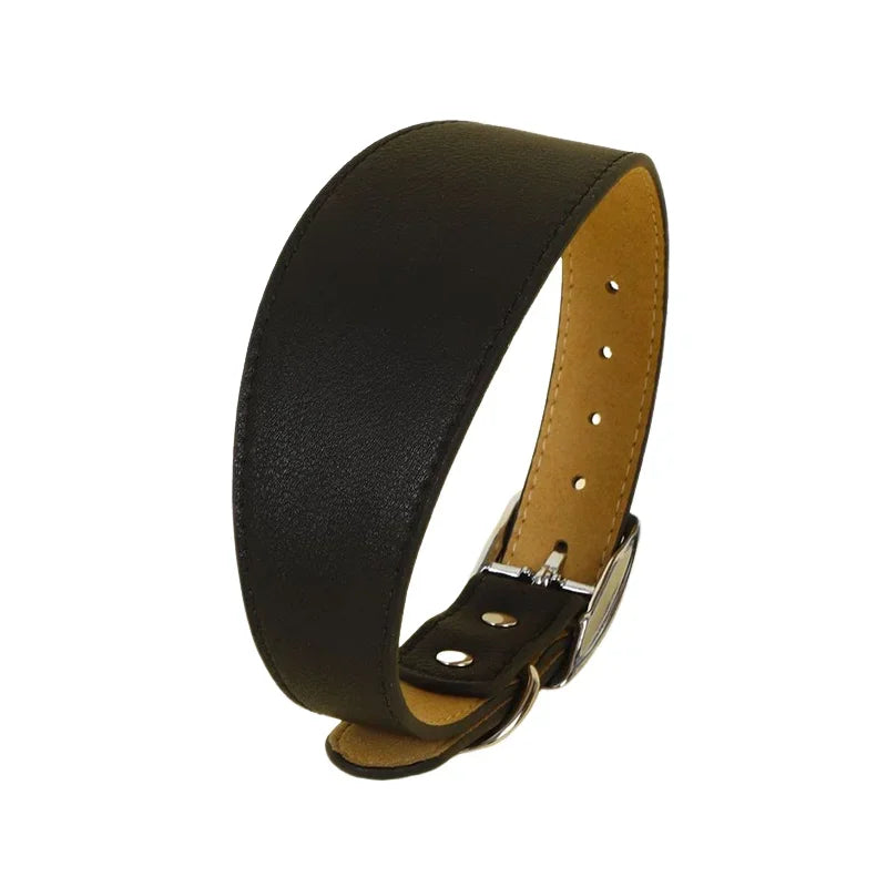 Brett hundhalsband