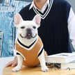 Collegetröja för hund