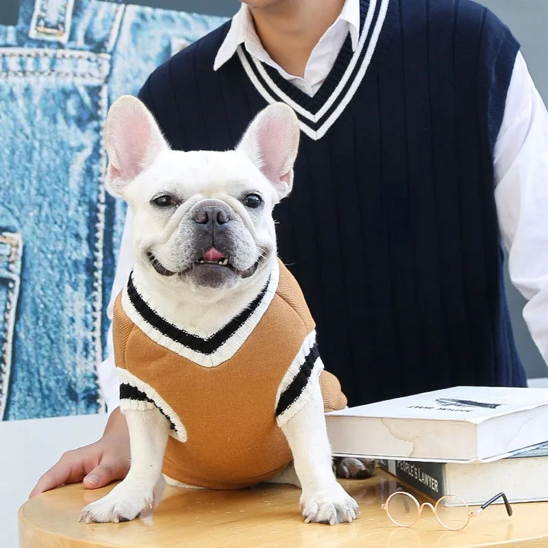 Collegetröja för hund