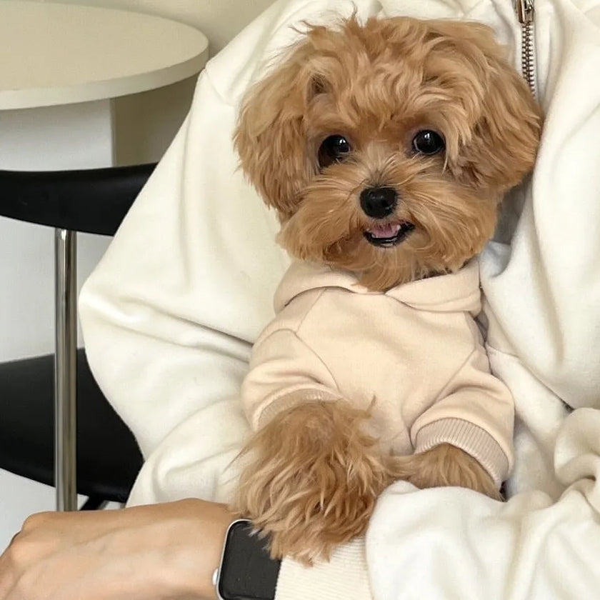 Hoodie Sweatshirt med huva för hund