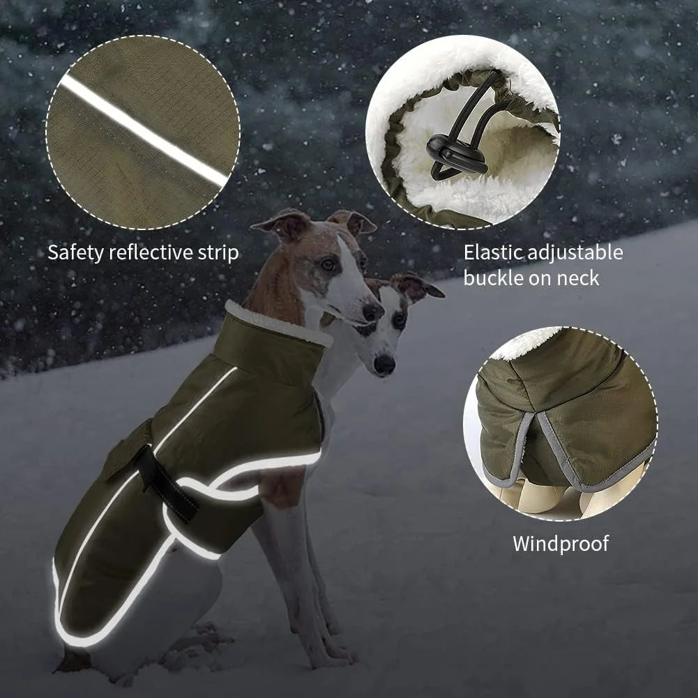 Vintertäcke för hund