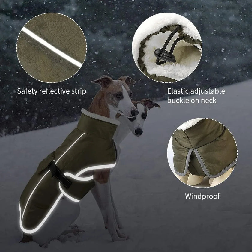 Vintertäcke för hund