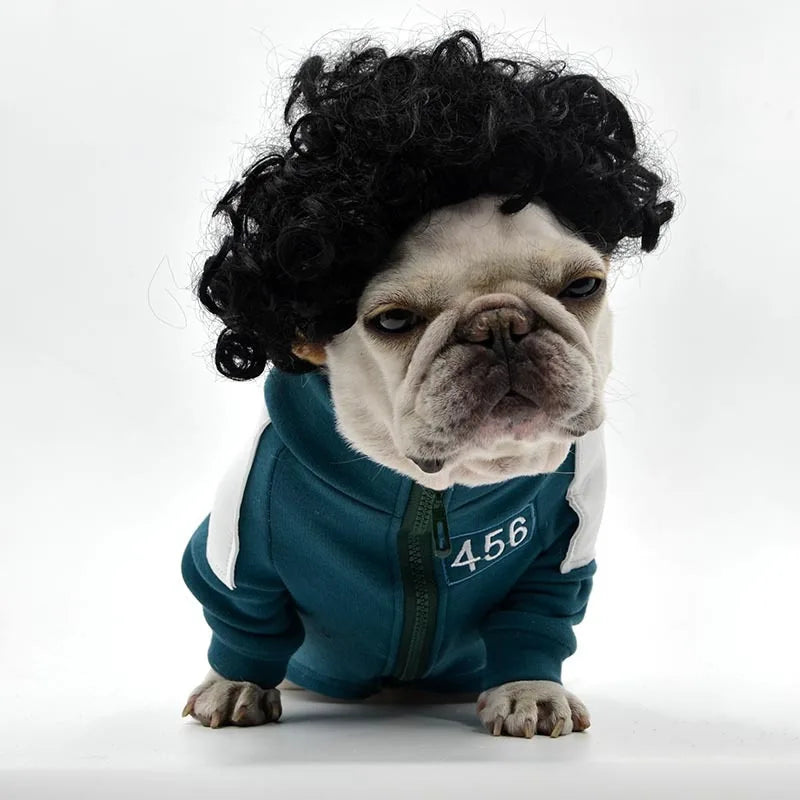 Peruk för hund