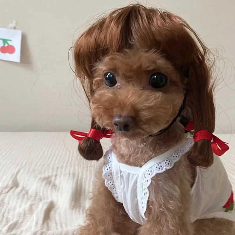 Peruk för hund