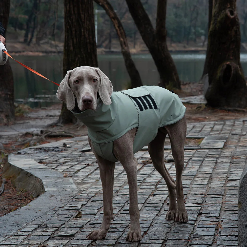 Vattentät hundjacka