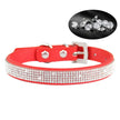 Hundhalsband med strass