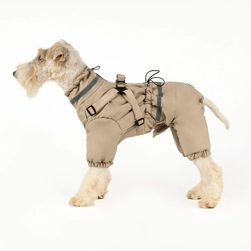 Overall med sele för hund
