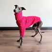 Polotröja för hund
