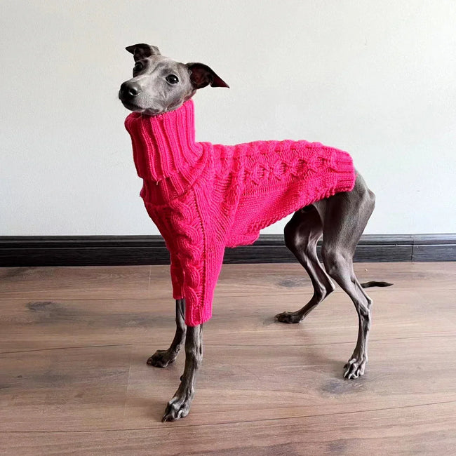 Polotröja för hund