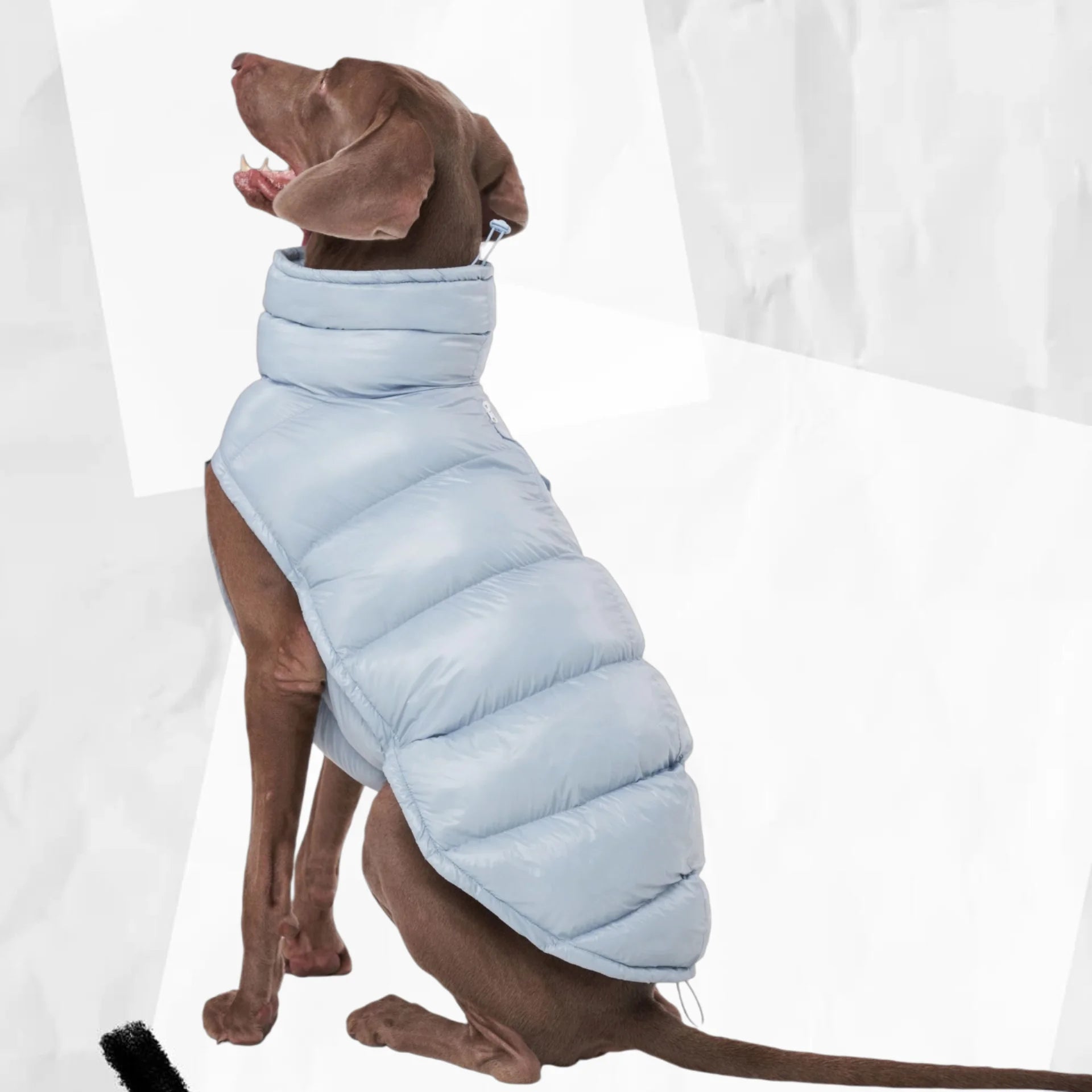 Täckväst för hund