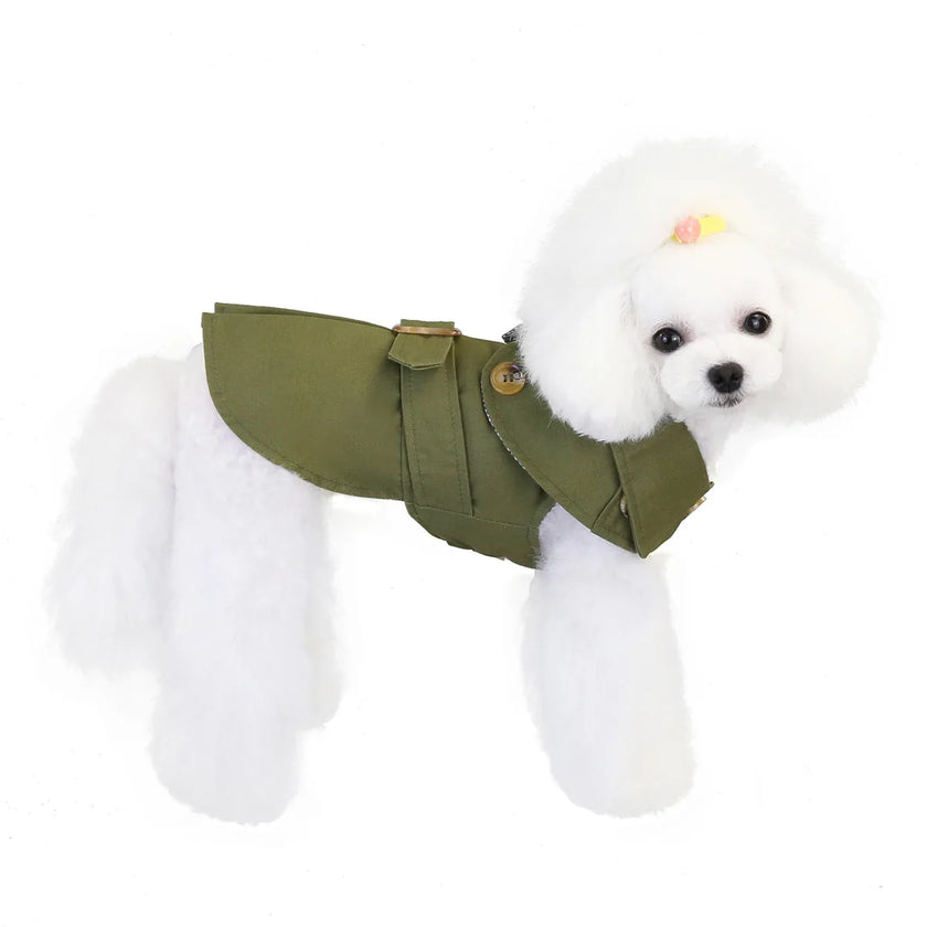 Trenchcoat för hund