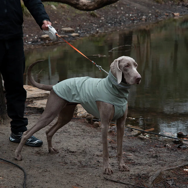 Vattentät hundjacka