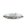Glittrigt hundhalsband med nitar