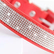 Hundhalsband med strass