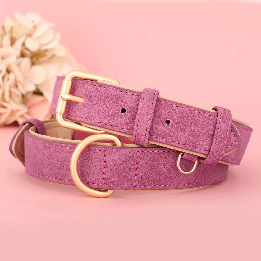 Hundhalsband