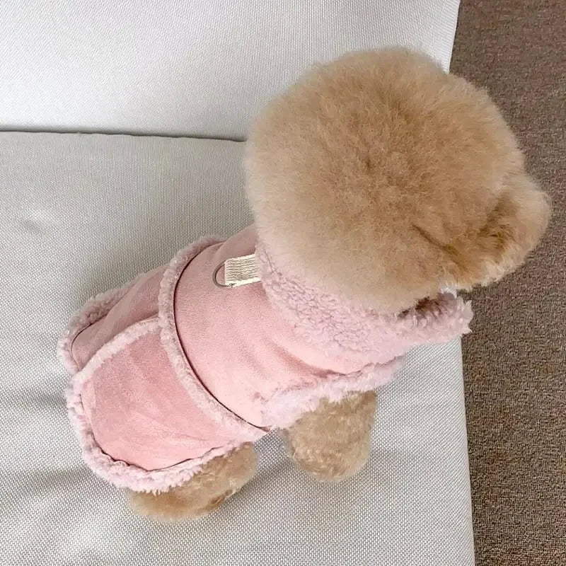 Hundjacka för små hundar