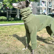 Overall Onesie med hög krage för hund
