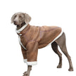 Varmfodrad hundjacka