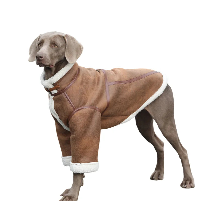 Varmfodrad hundjacka