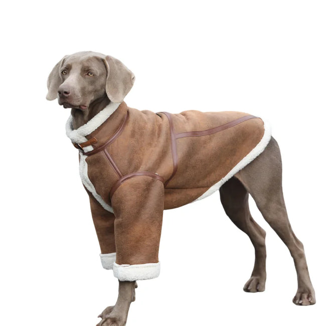 Varmfodrad hundjacka