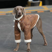 Varmfodrad hundjacka