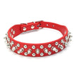 Hundhalsband med spikes