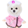 Halloween kostym för hund