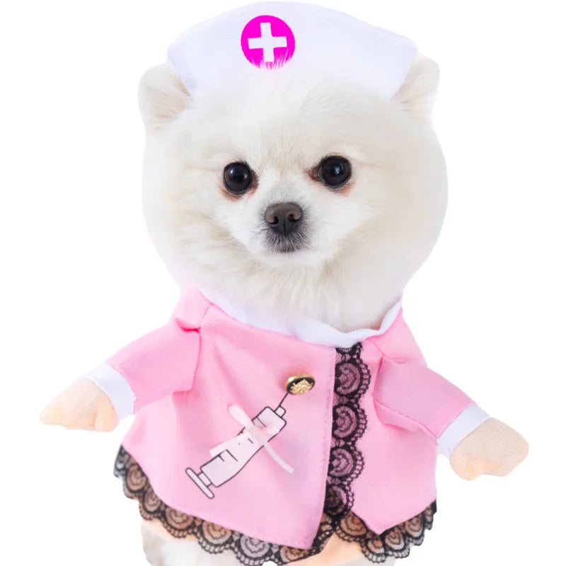 Halloween kostym för hund