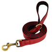 Hundhalsband & koppel
