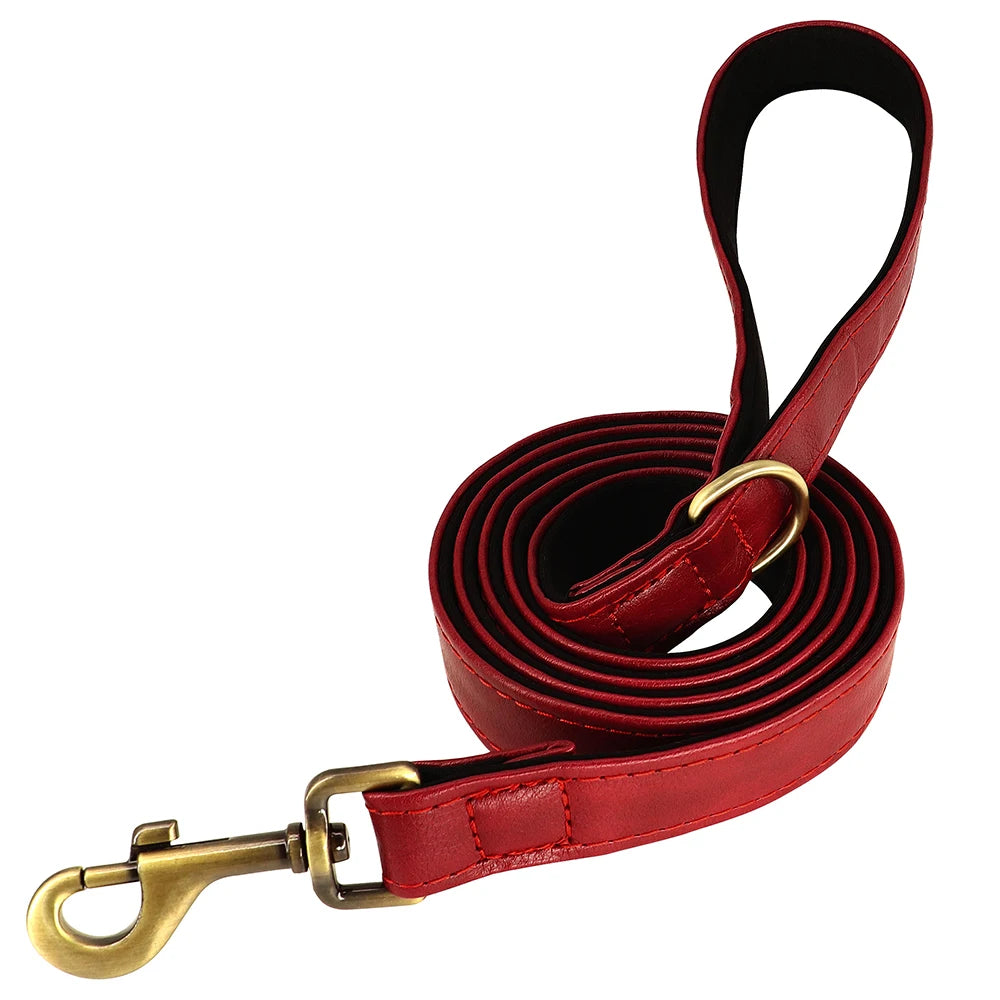 Hundhalsband & koppel