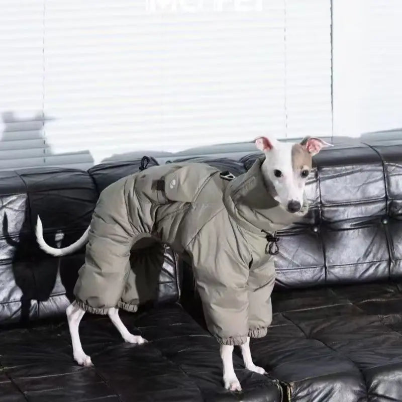 Vinteroverall för hund