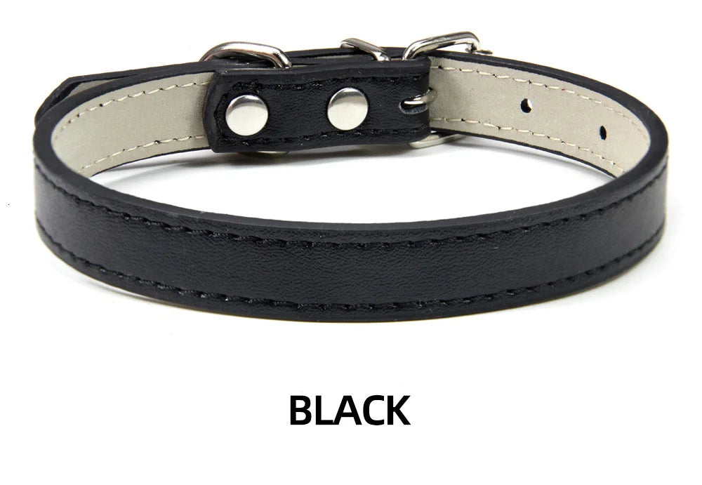Hundhalsband