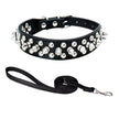 Hundhalsband med spikes