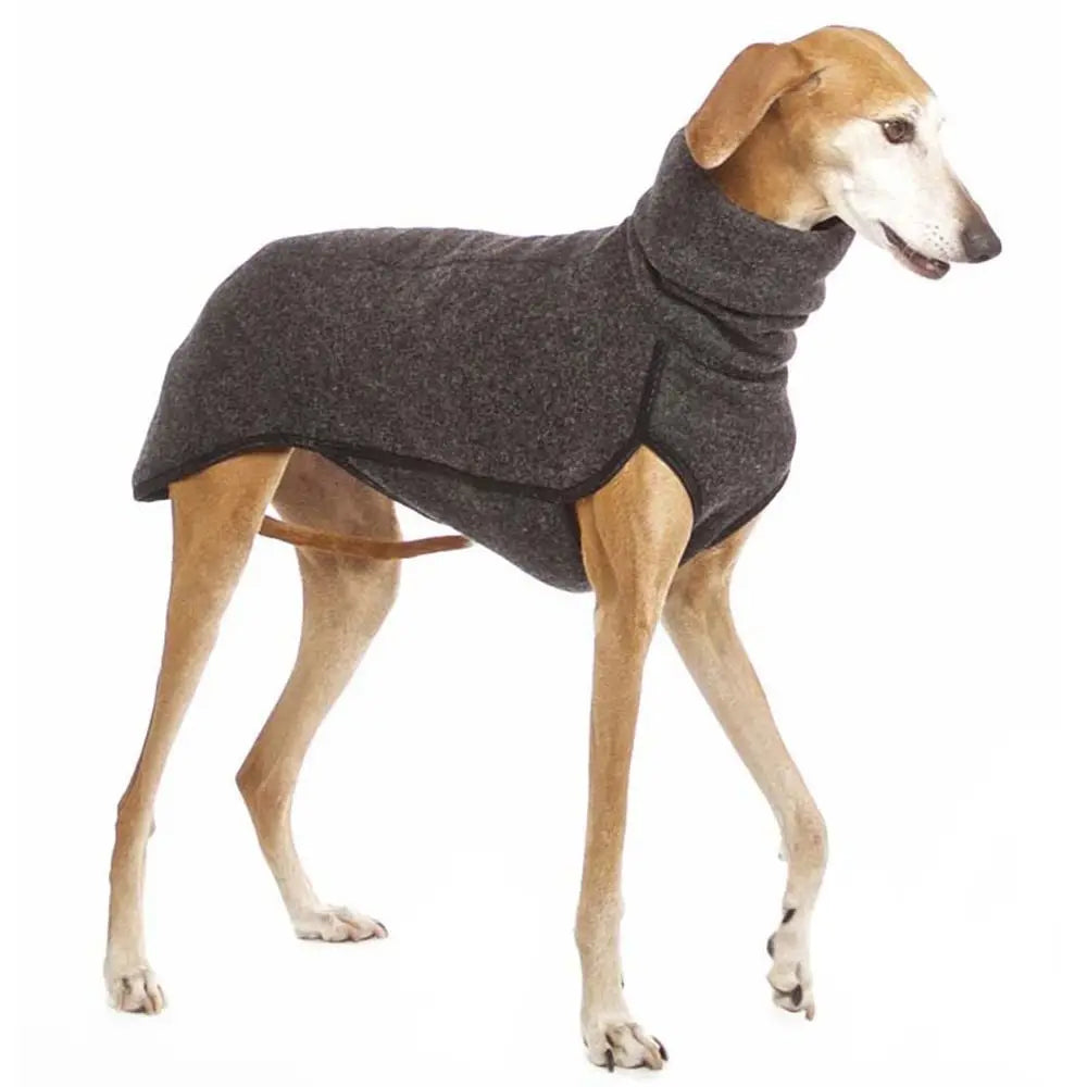 Fleecetröja för hund