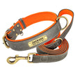 Hundhalsband & koppel