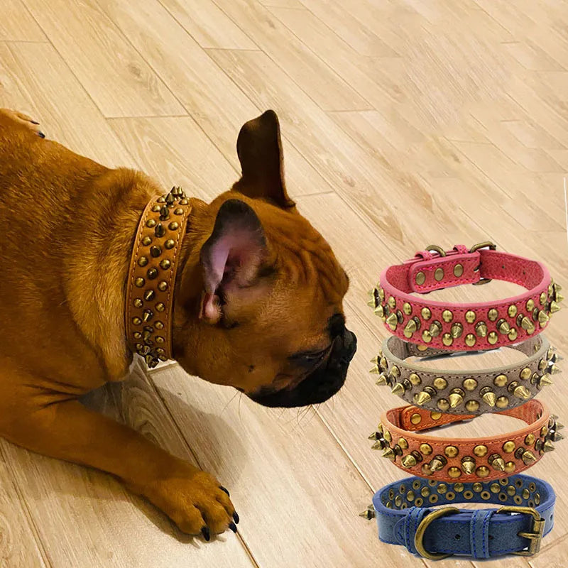 Hundhalsband med nitar