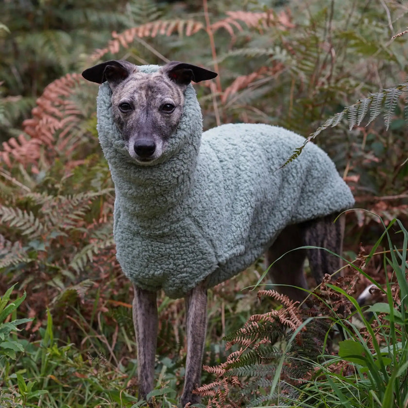 Fleecetäcke för hund