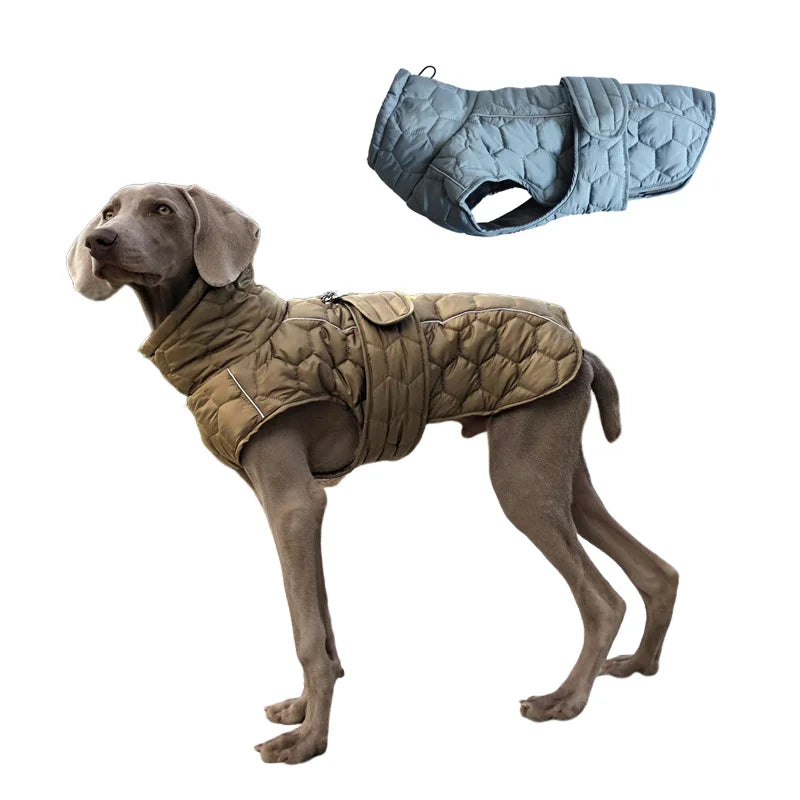 Täckjacka för hund